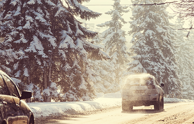 Фото статьи