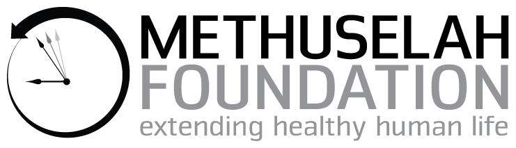 fcedadfbd20e7d79bbae4bf1cd039419 (1).png